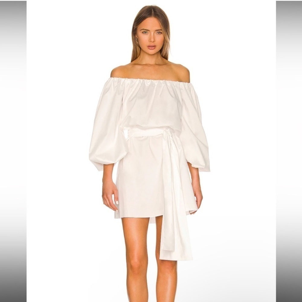 NWT ALEXIS Doriana Dress in Bianca Sz Small